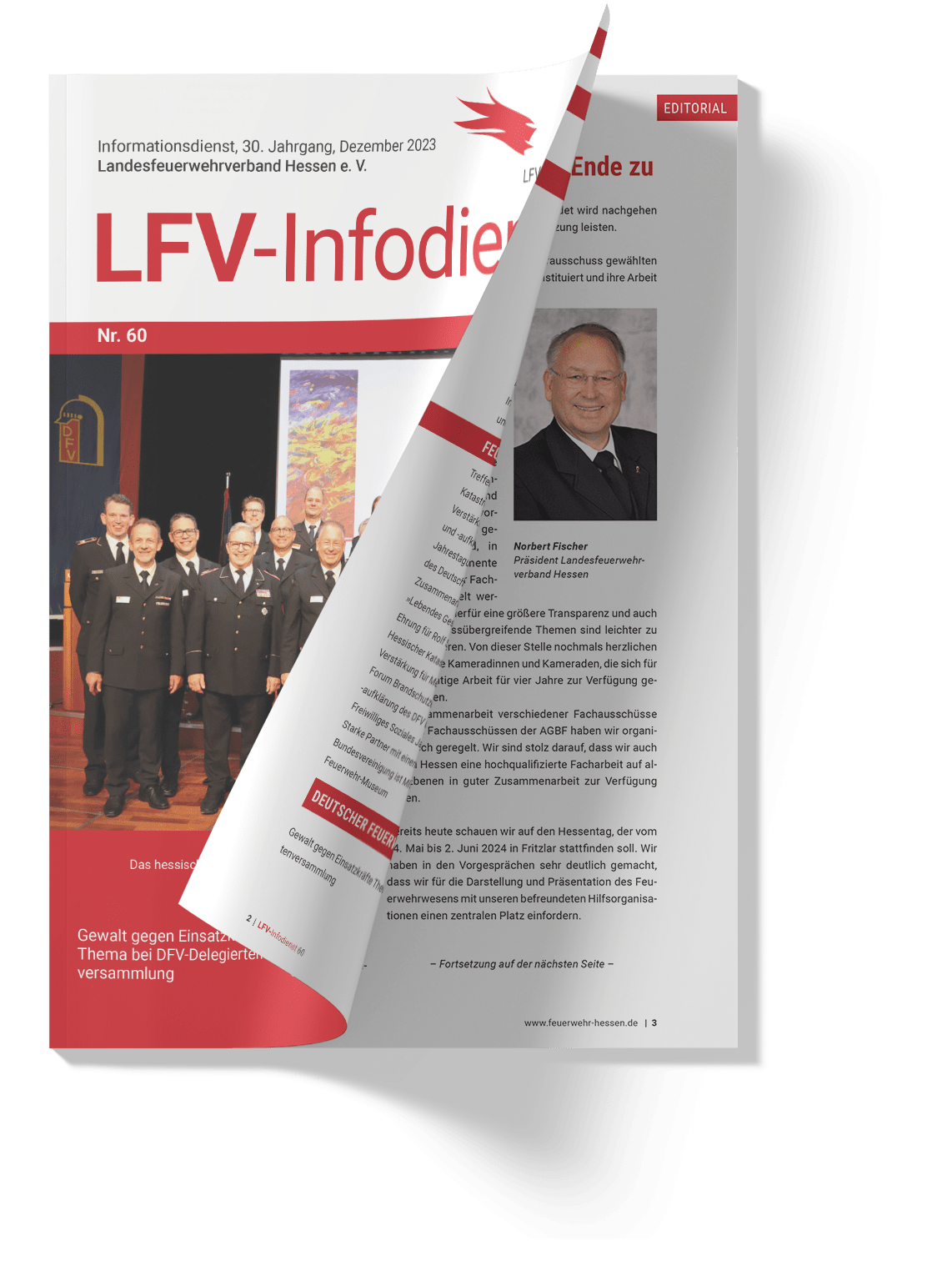 LFV Infodienst