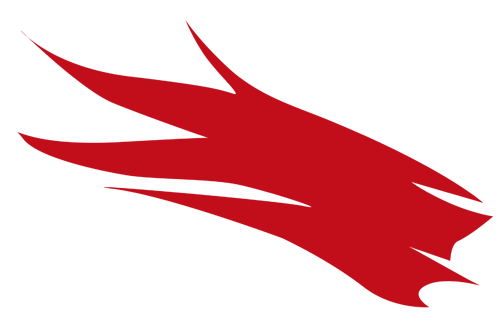 flamme-logo-lfv-hessen