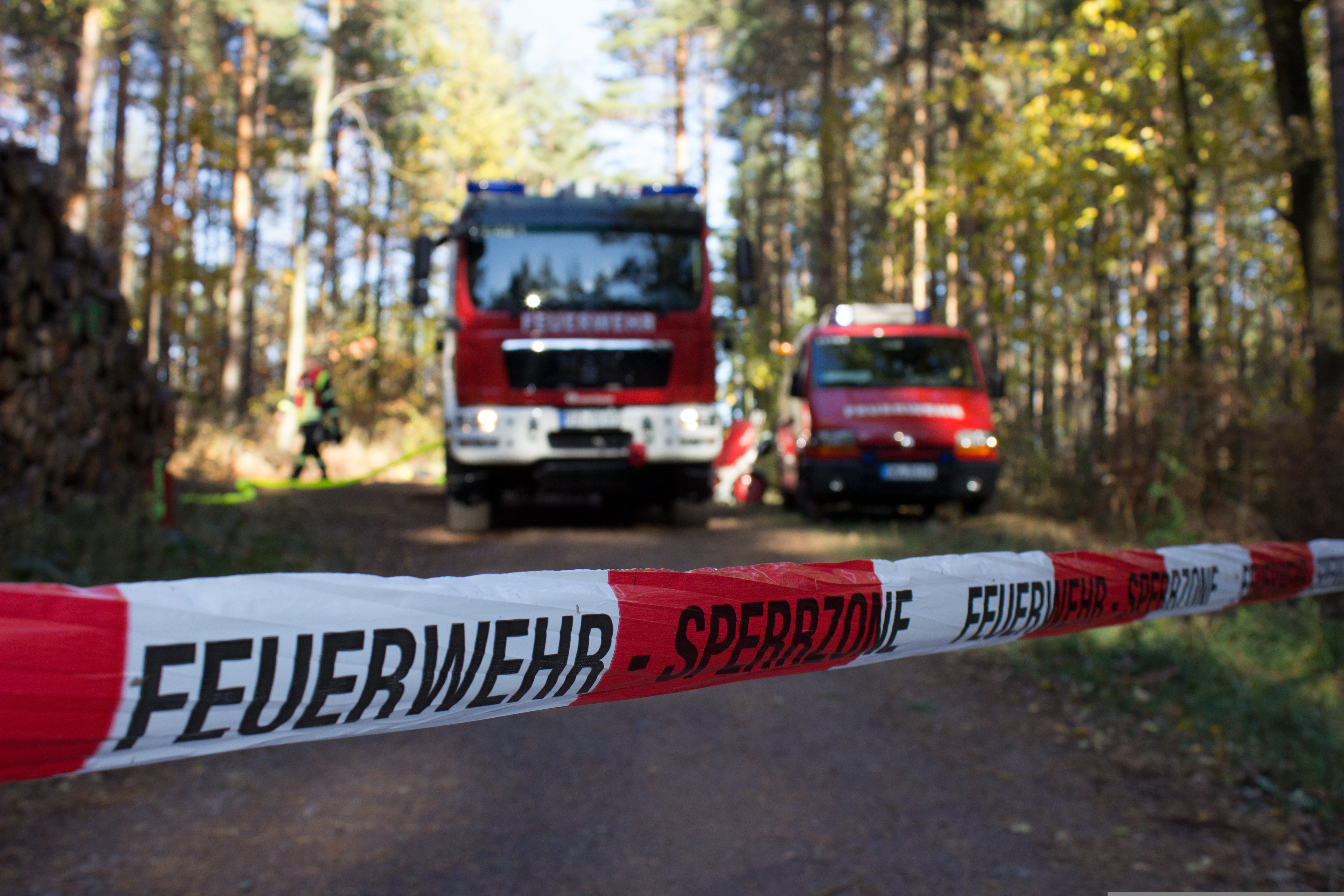 Pixabay-Waldbrand